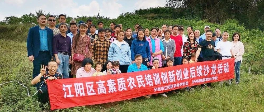 江陽區(qū)高素質農民培訓后續(xù)服務活動圓滿結束