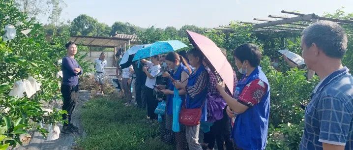 “科技助農    鄉(xiāng)村振興”——勝藍學校2021年合江縣高素質農民培訓紀實